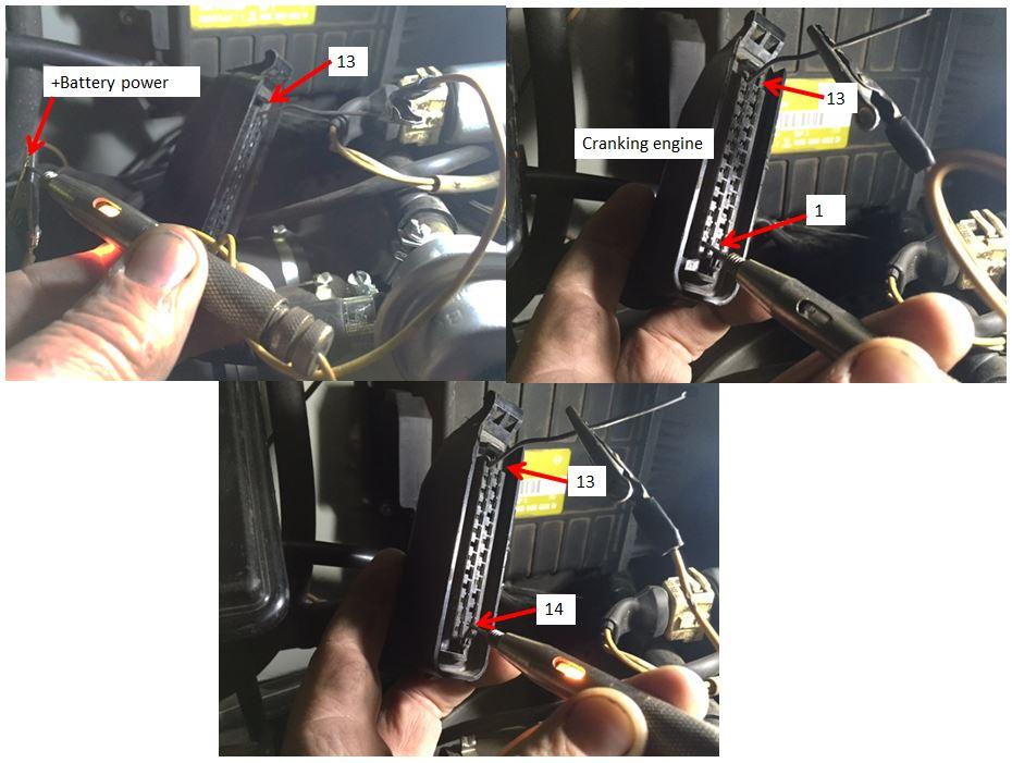 Image may have been reduced in size. Click image to view fullscreen.