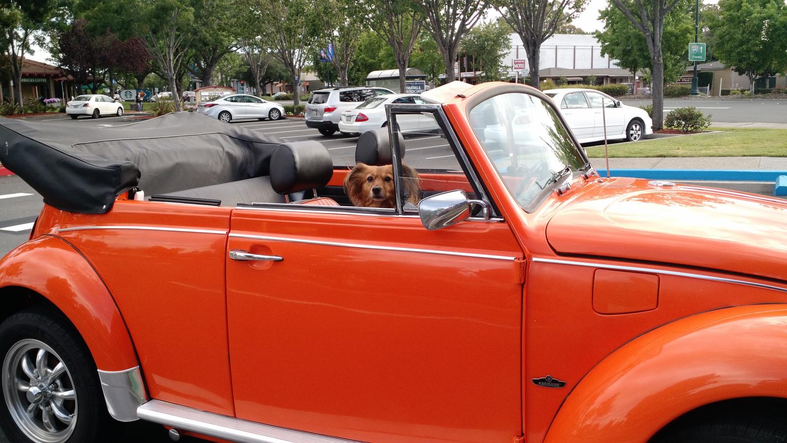 1974 vw beetle running boards discount