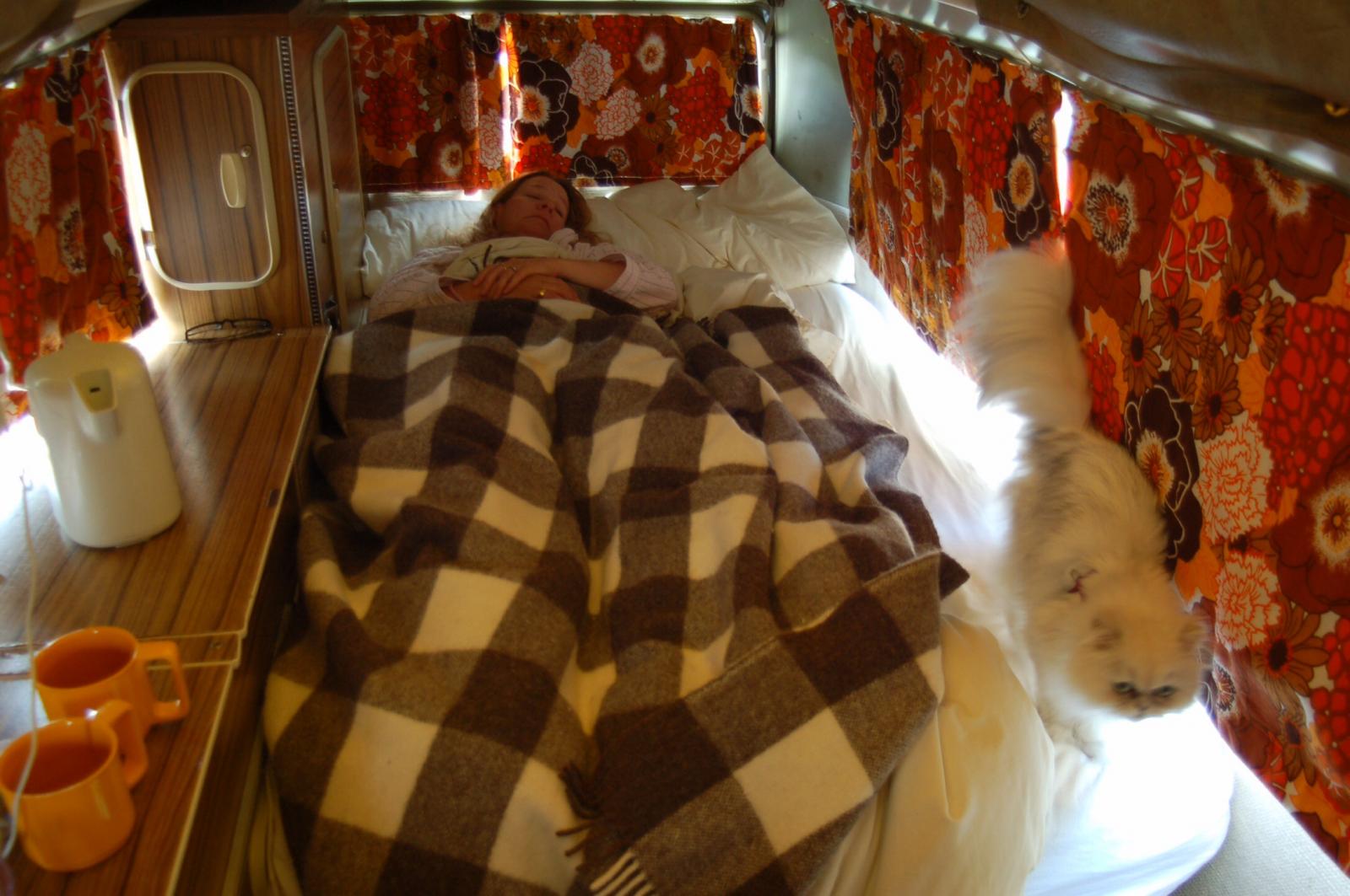 Image may have been reduced in size. Click image to view fullscreen.