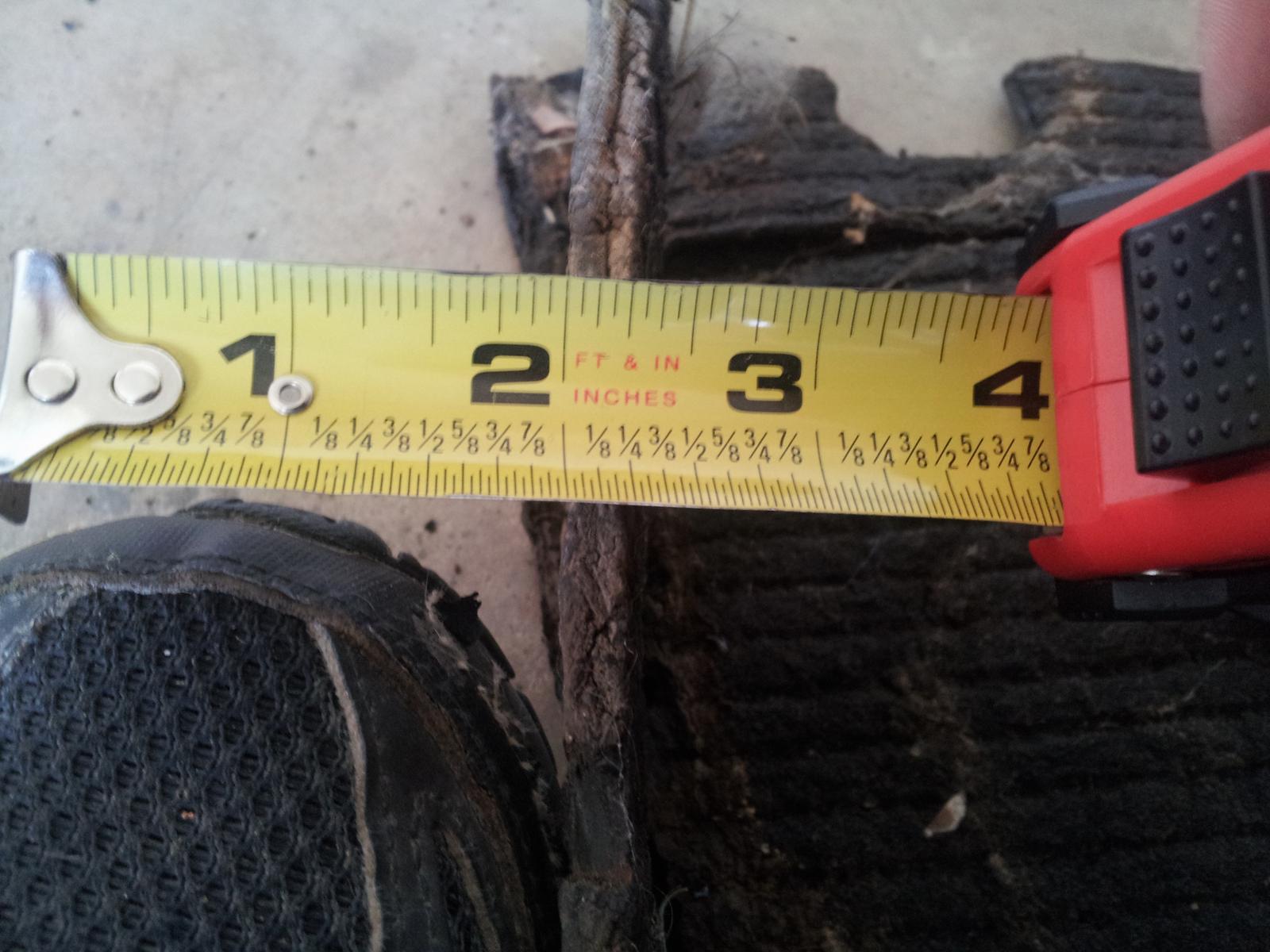 Image may have been reduced in size. Click image to view fullscreen.