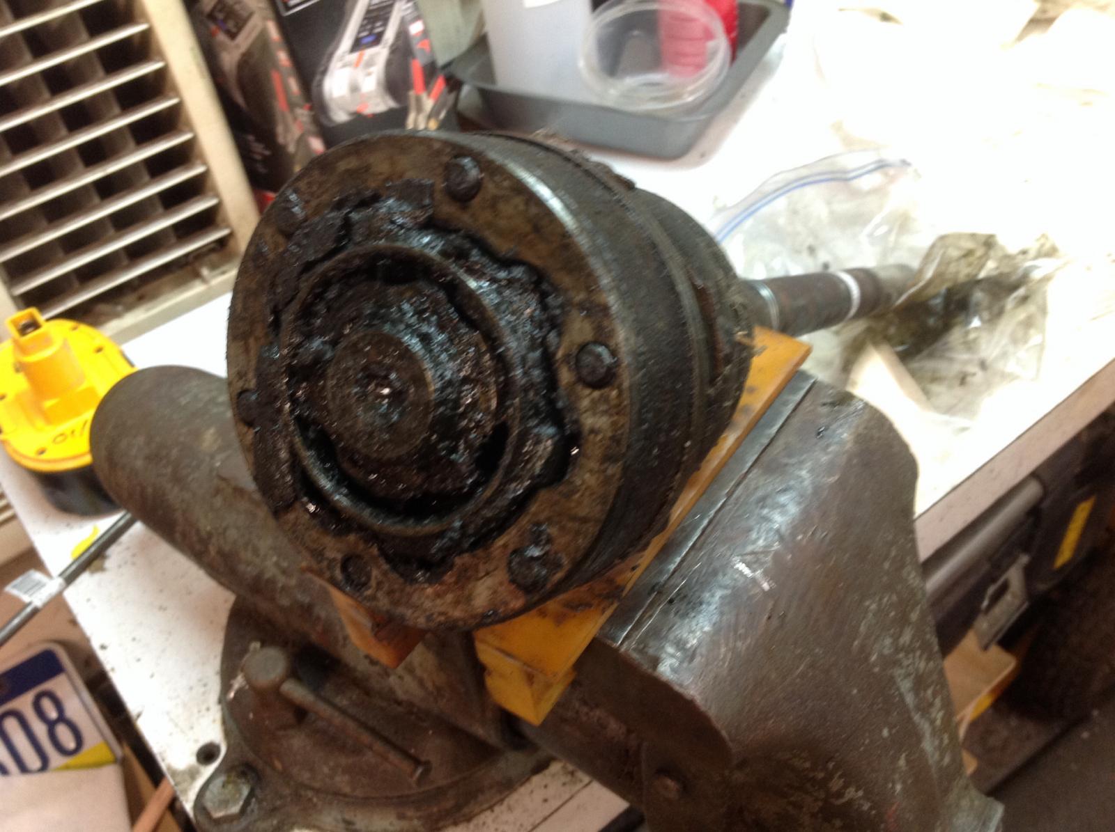 Image may have been reduced in size. Click image to view fullscreen.