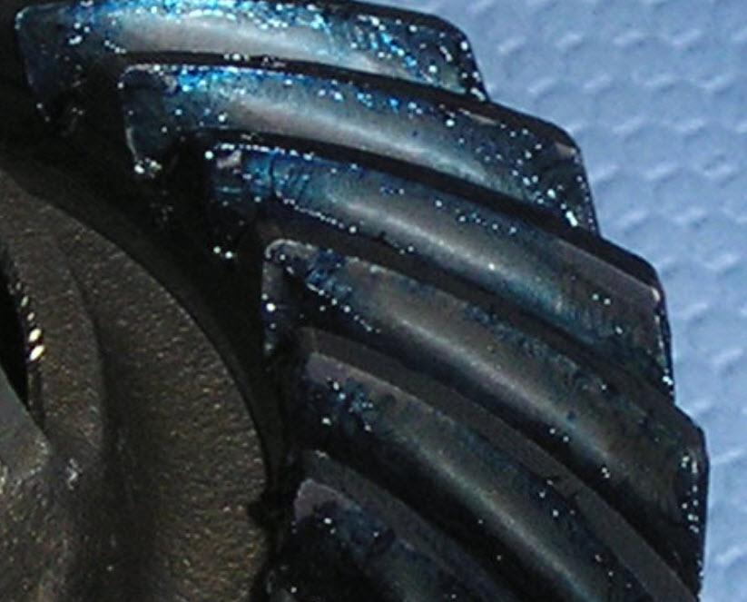Image may have been reduced in size. Click image to view fullscreen.