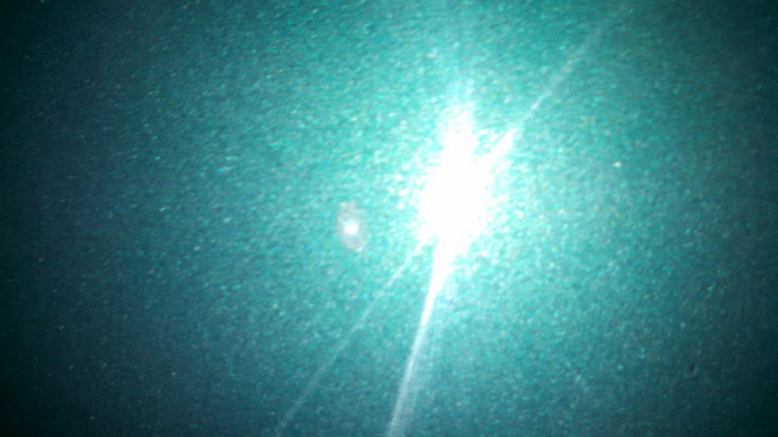 Image may have been reduced in size. Click image to view fullscreen.