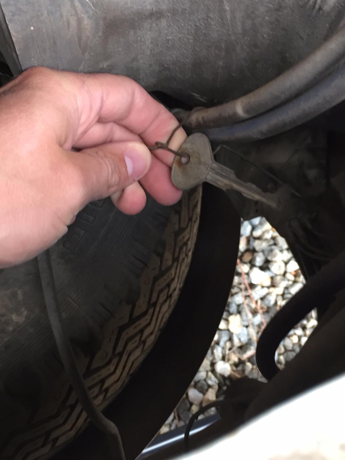 Image may have been reduced in size. Click image to view fullscreen.