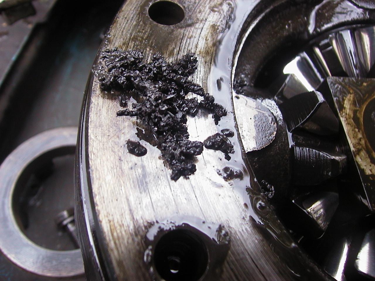 Image may have been reduced in size. Click image to view fullscreen.
