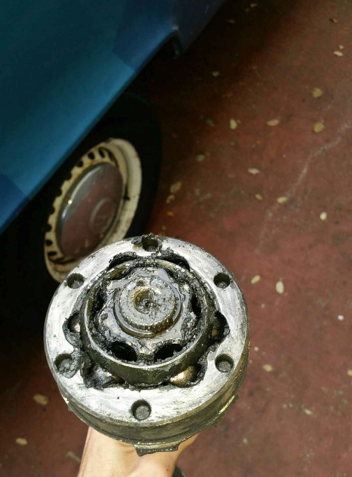 Image may have been reduced in size. Click image to view fullscreen.