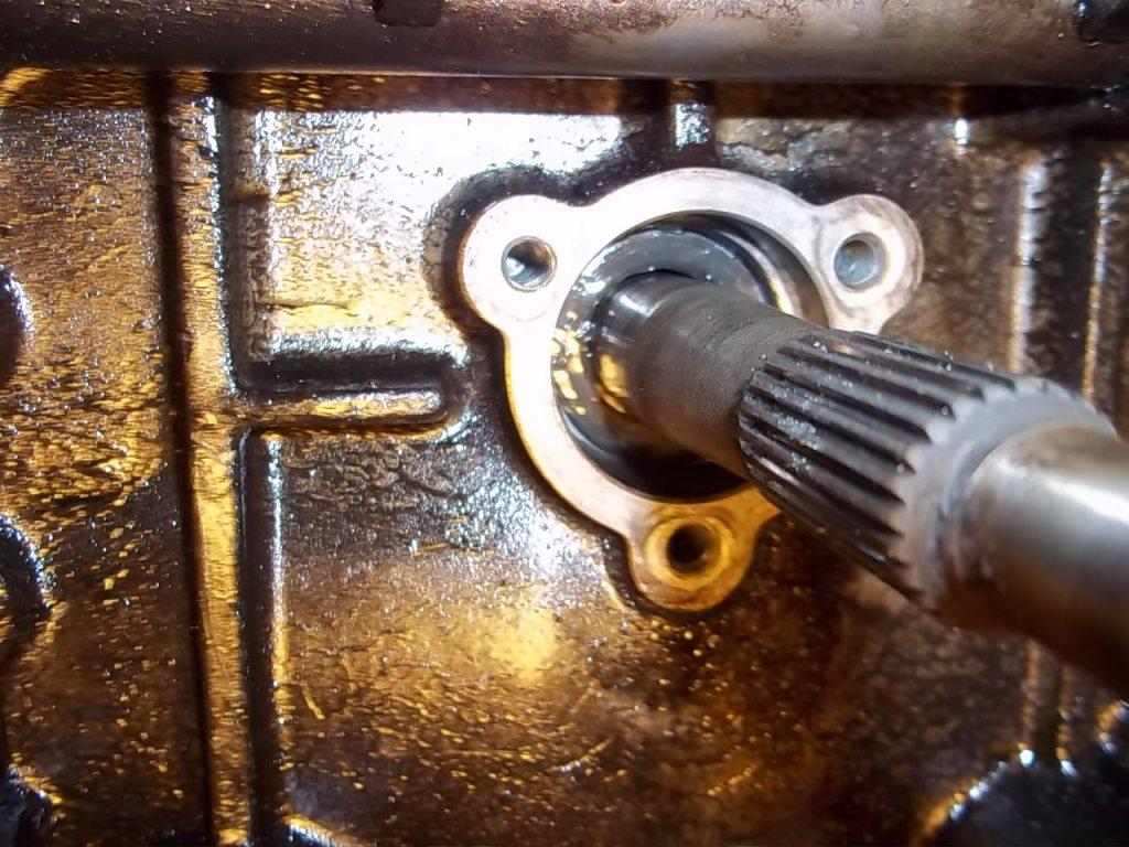 Image may have been reduced in size. Click image to view fullscreen.