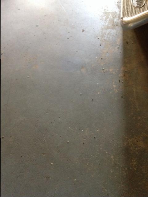 Image may have been reduced in size. Click image to view fullscreen.