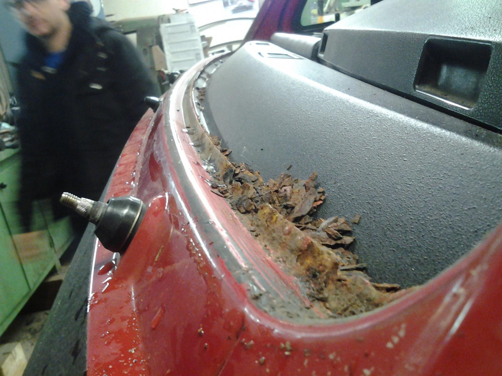 Image may have been reduced in size. Click image to view fullscreen.