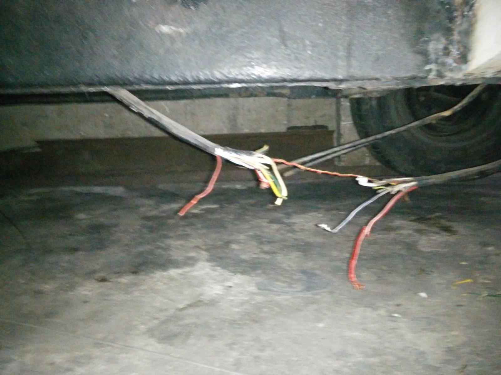 Stop puppy chewing wires top