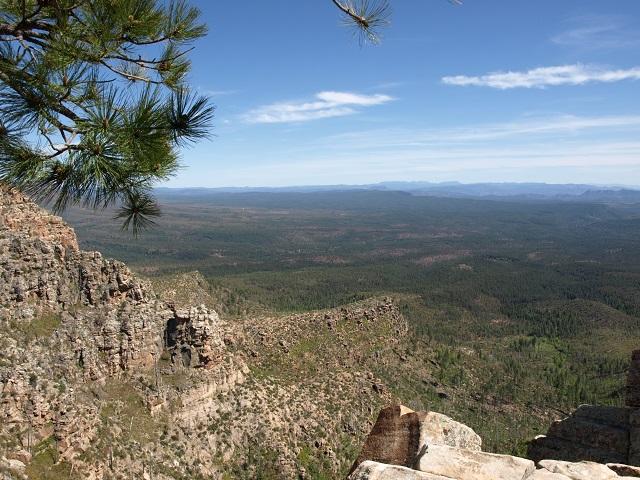 Image may have been reduced in size. Click image to view fullscreen.