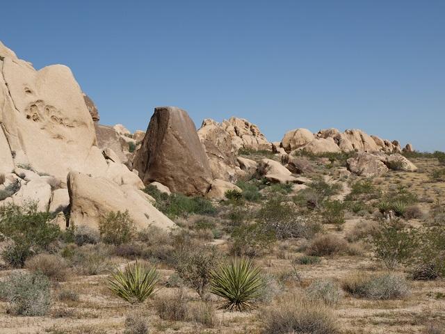 Image may have been reduced in size. Click image to view fullscreen.