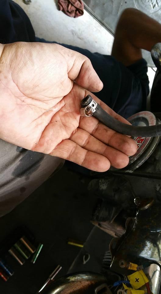 Image may have been reduced in size. Click image to view fullscreen.