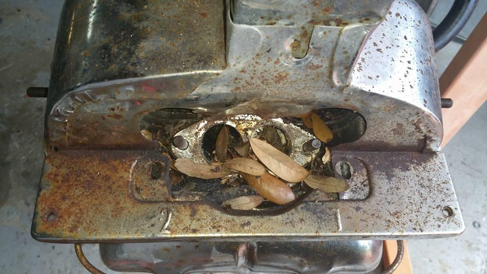 Image may have been reduced in size. Click image to view fullscreen.