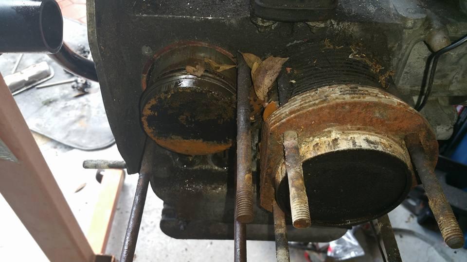 Image may have been reduced in size. Click image to view fullscreen.