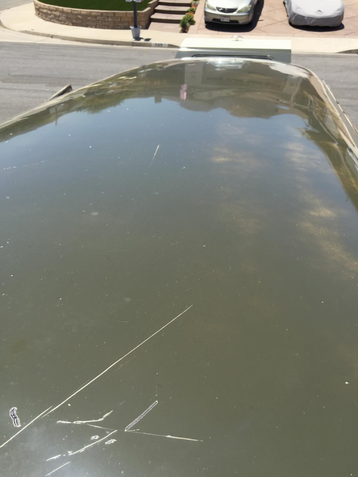 Image may have been reduced in size. Click image to view fullscreen.