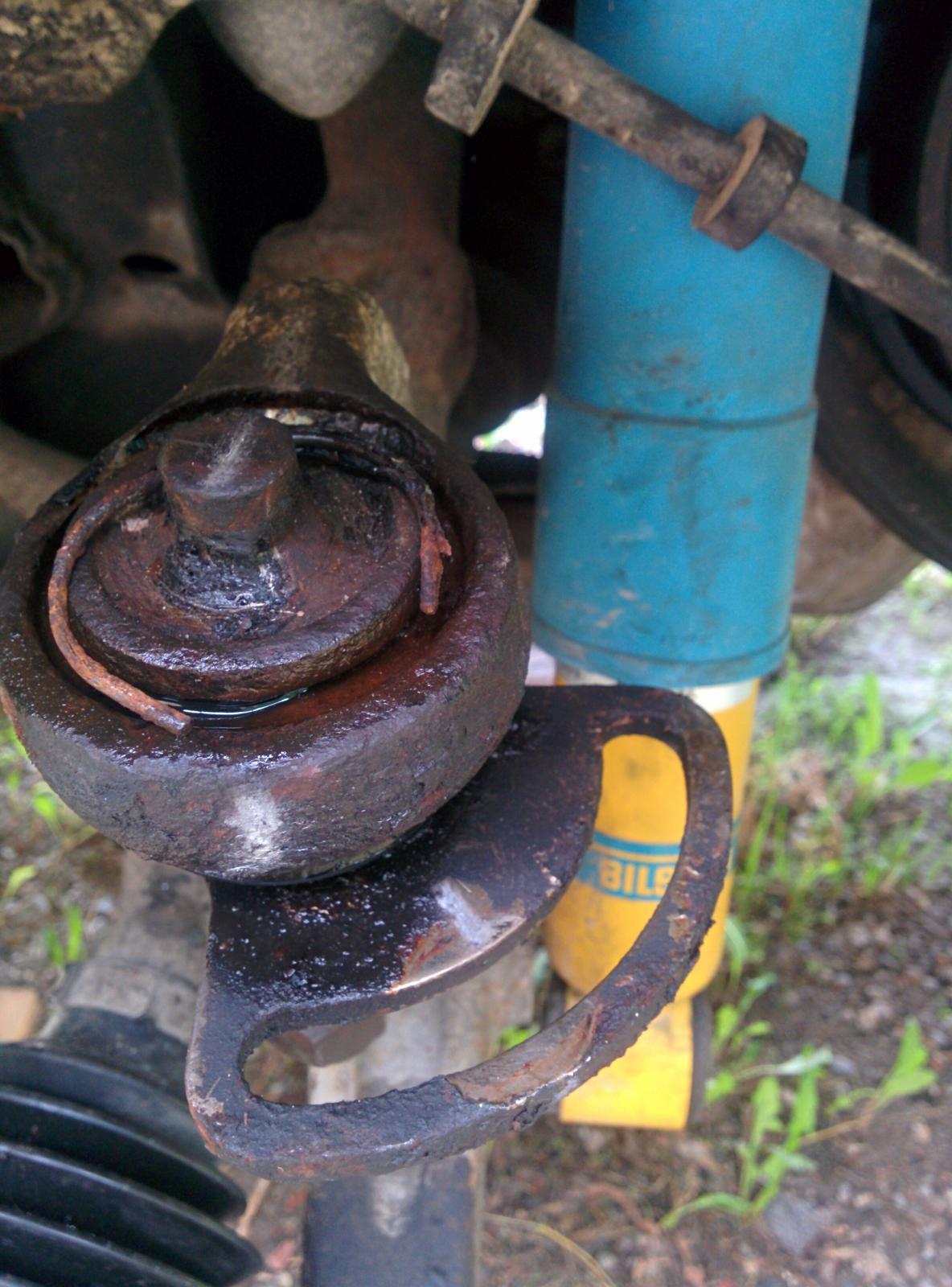 Image may have been reduced in size. Click image to view fullscreen.