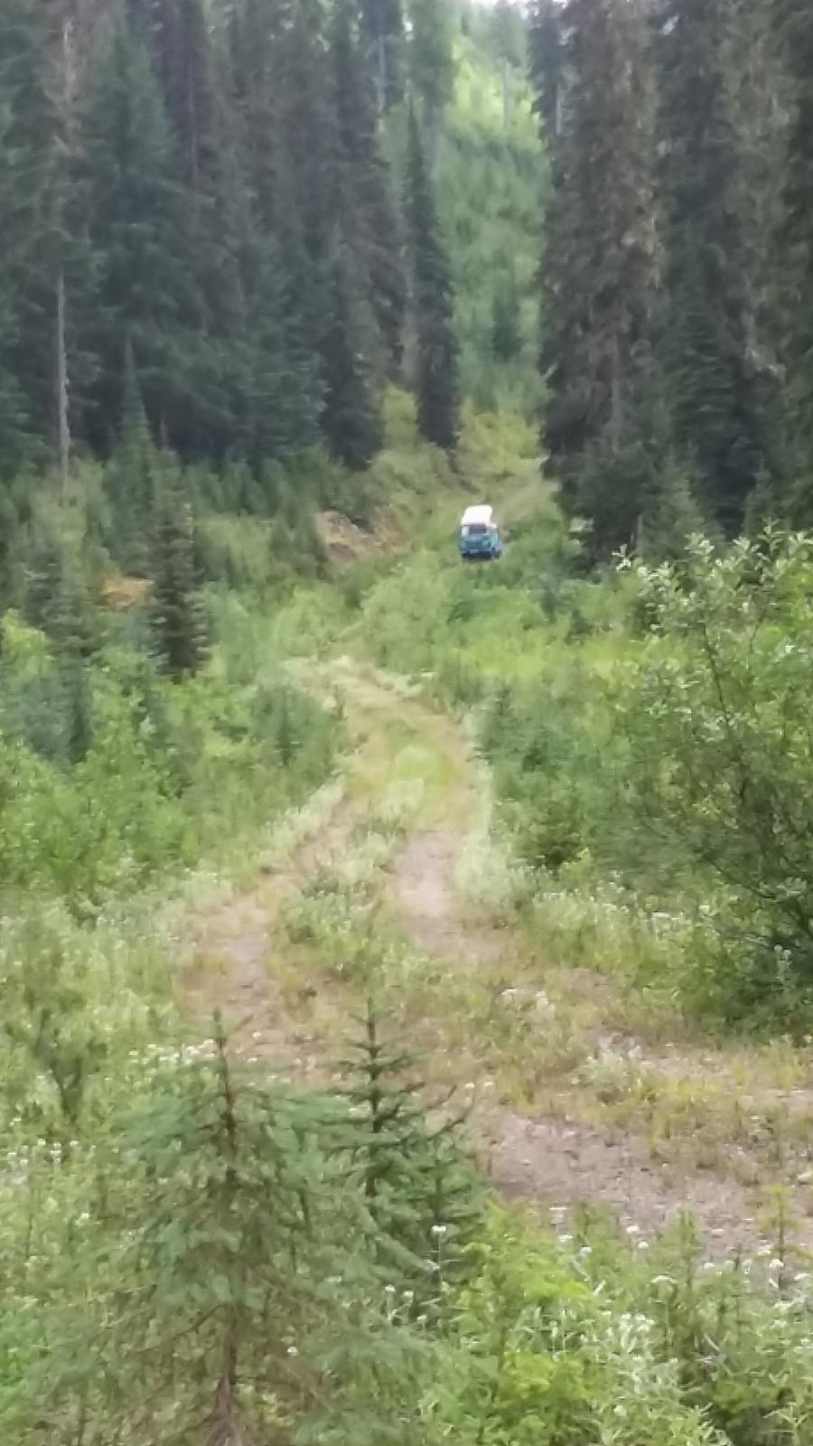 Image may have been reduced in size. Click image to view fullscreen.