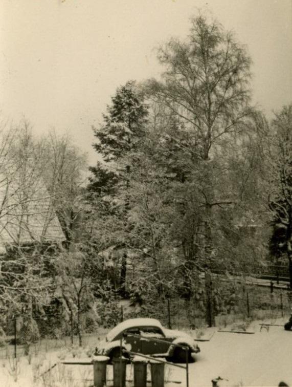 Image may have been reduced in size. Click image to view fullscreen.