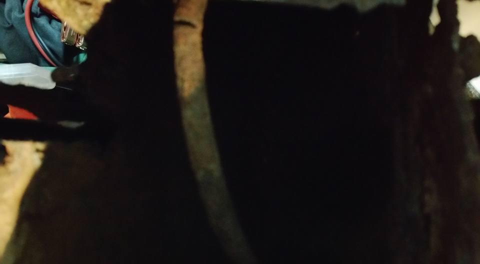 Image may have been reduced in size. Click image to view fullscreen.