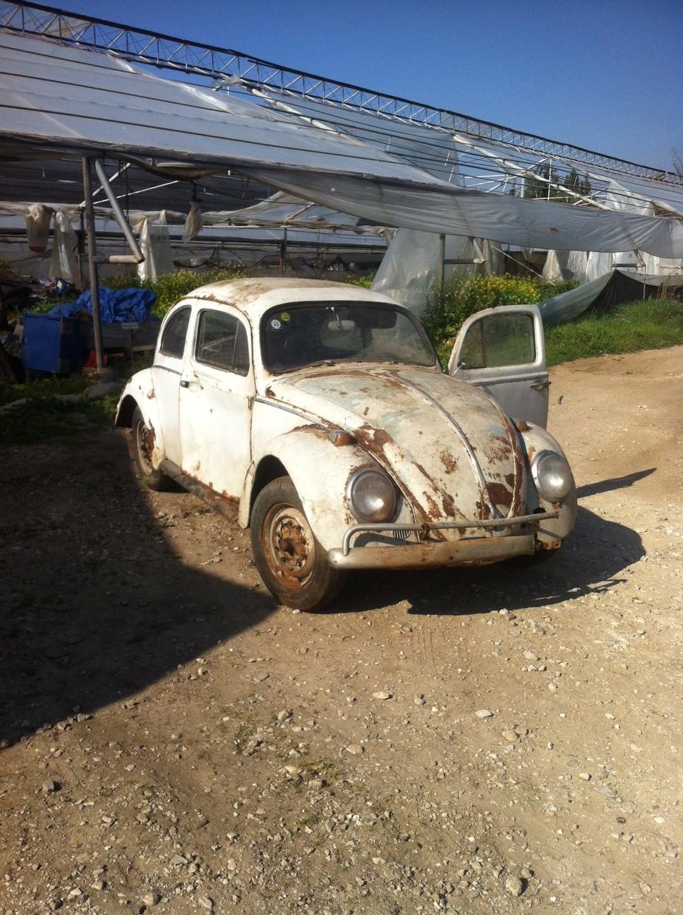 Image may have been reduced in size. Click image to view fullscreen.
