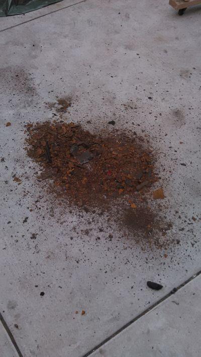 Image may have been reduced in size. Click image to view fullscreen.