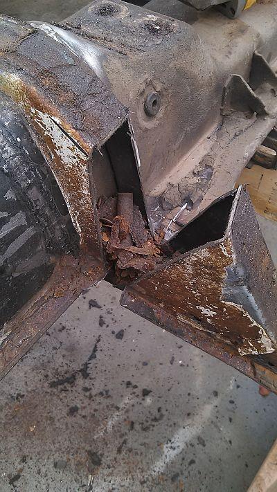 Image may have been reduced in size. Click image to view fullscreen.