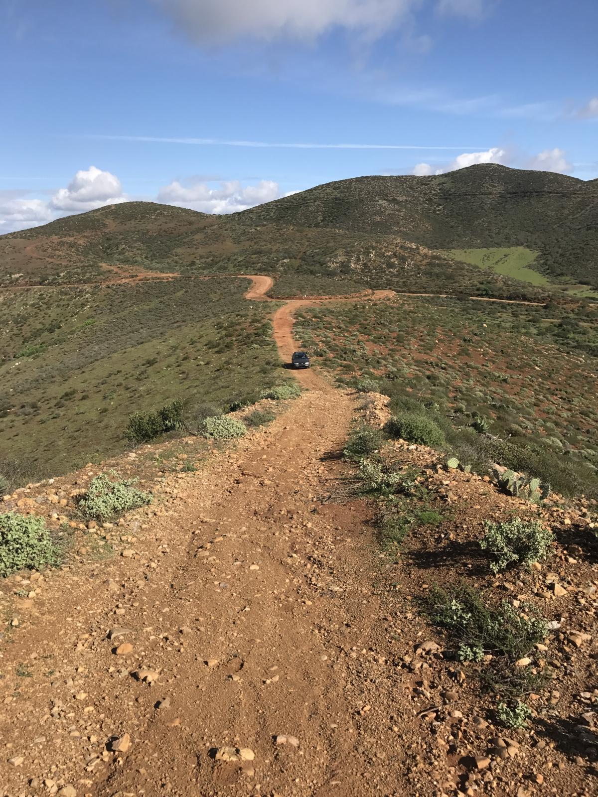 Image may have been reduced in size. Click image to view fullscreen.