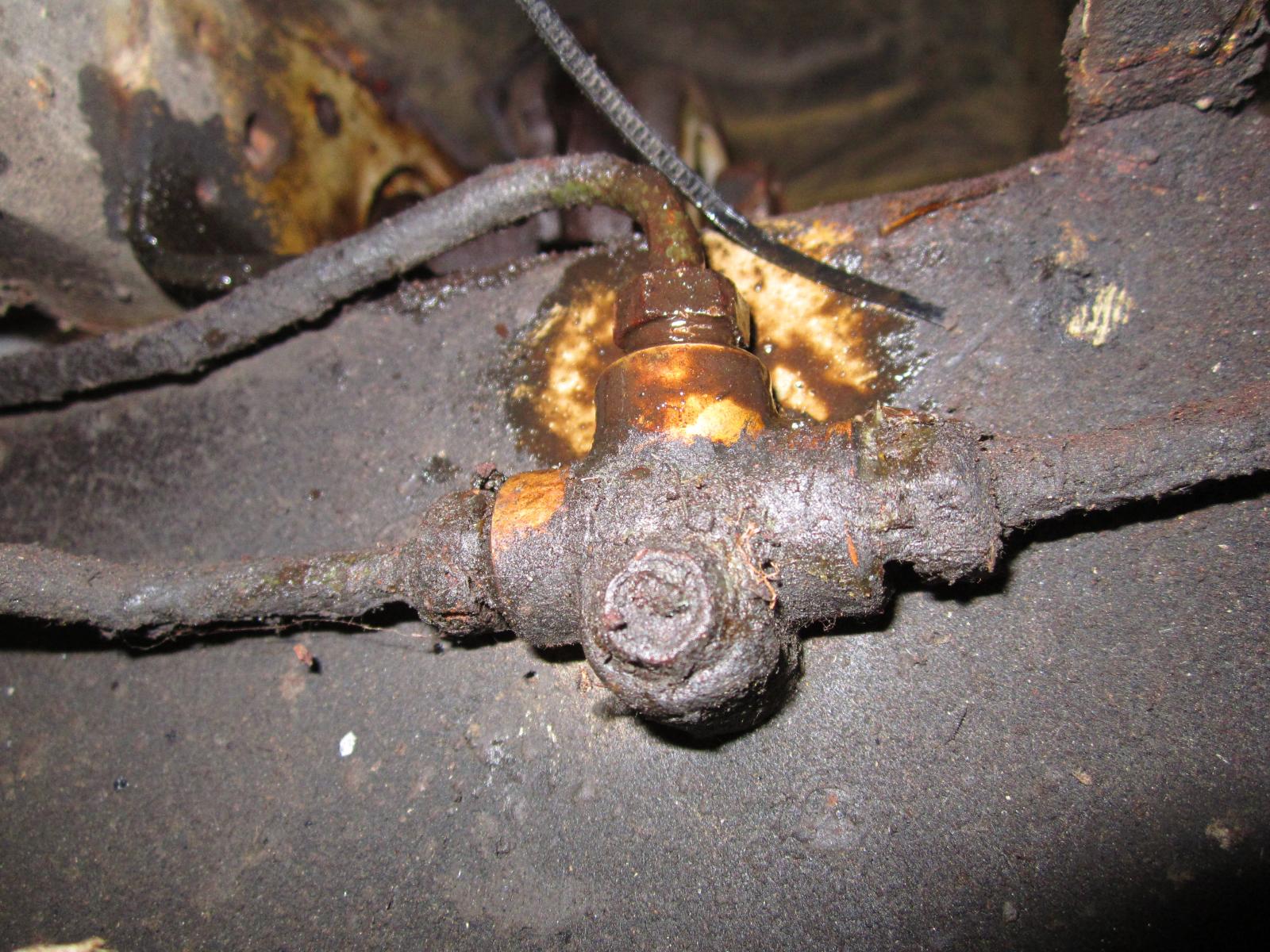 Image may have been reduced in size. Click image to view fullscreen.