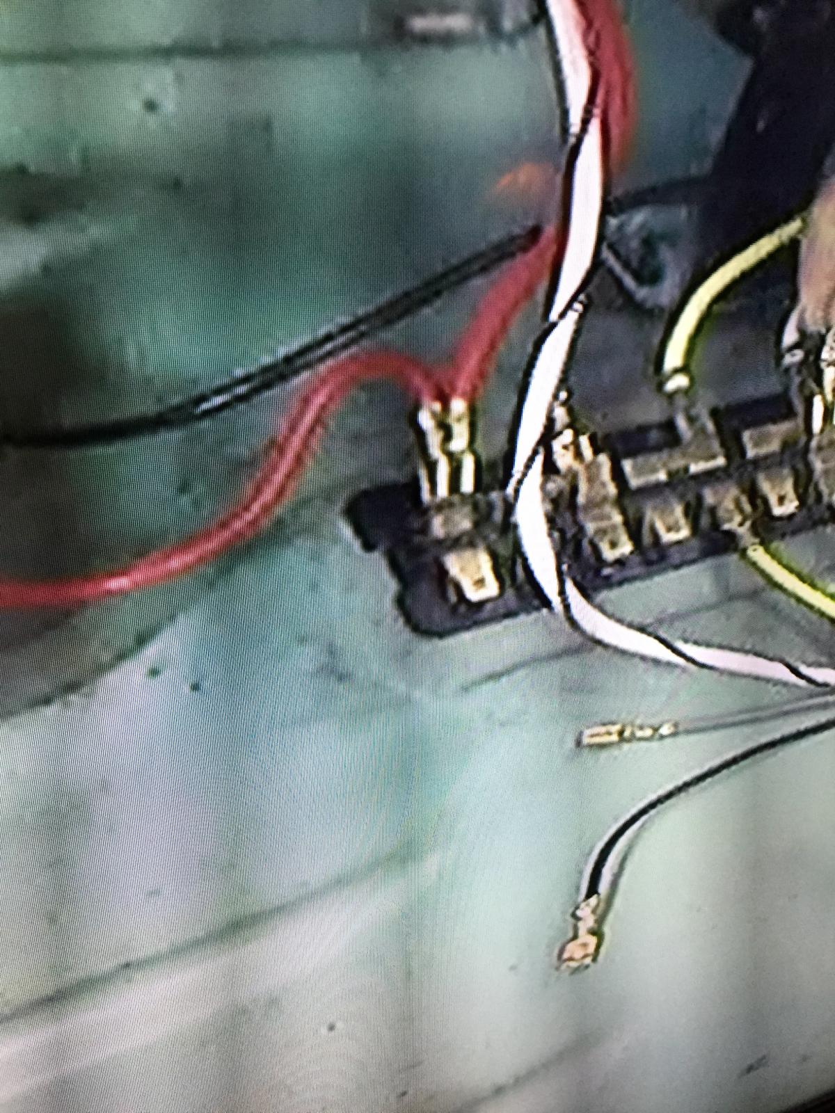 Image may have been reduced in size. Click image to view fullscreen.