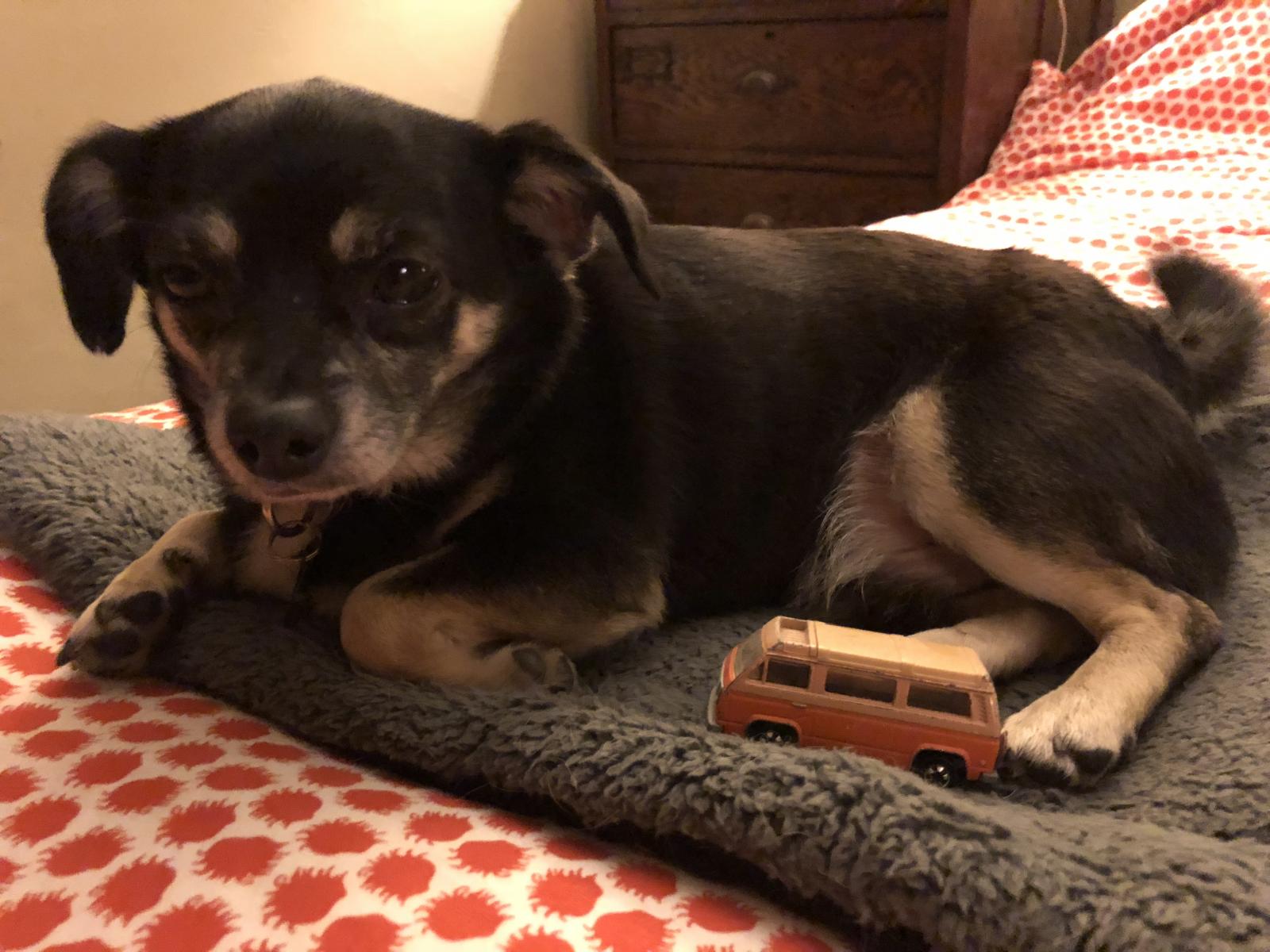 Image may have been reduced in size. Click image to view fullscreen.