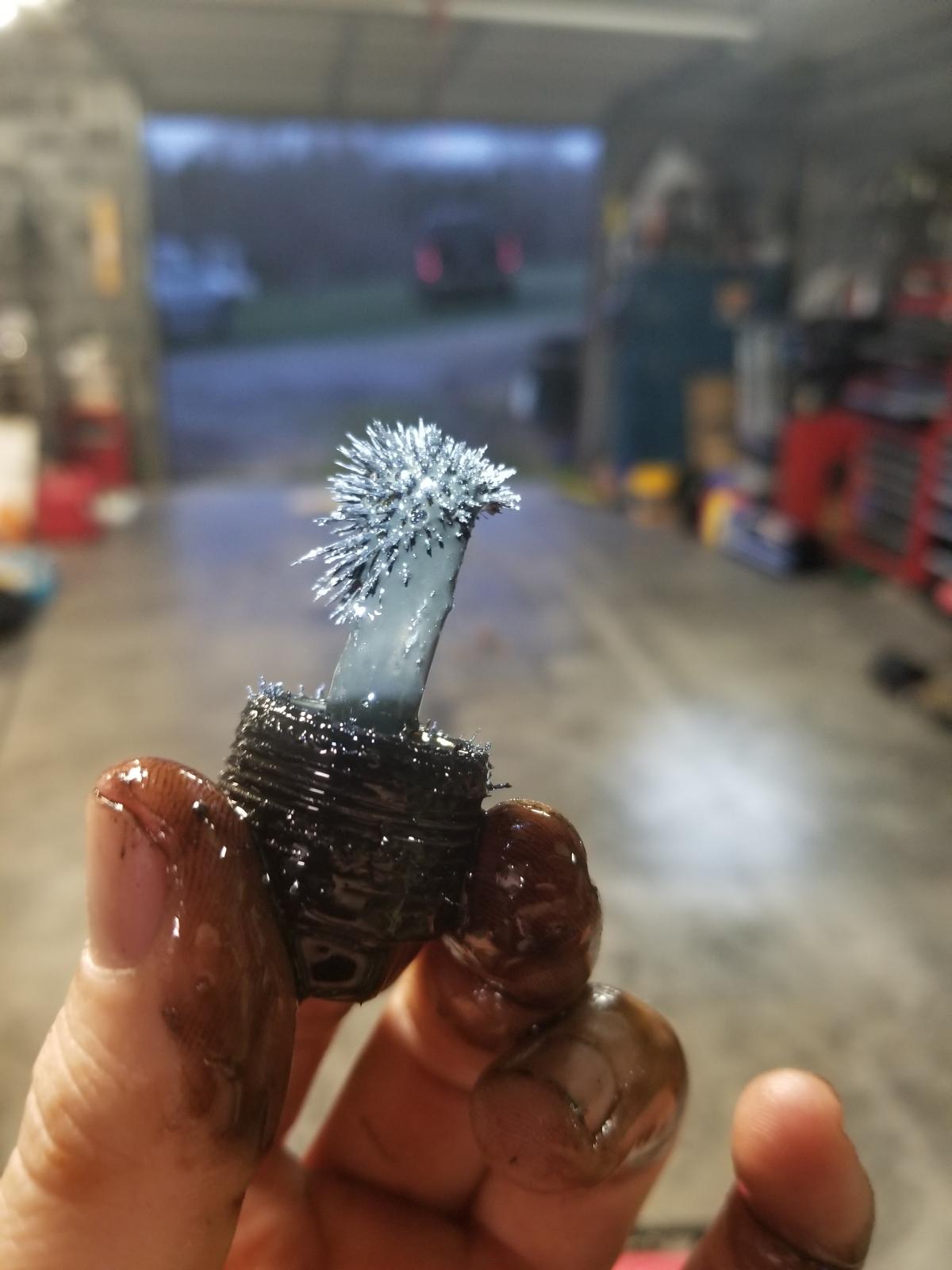 Image may have been reduced in size. Click image to view fullscreen.