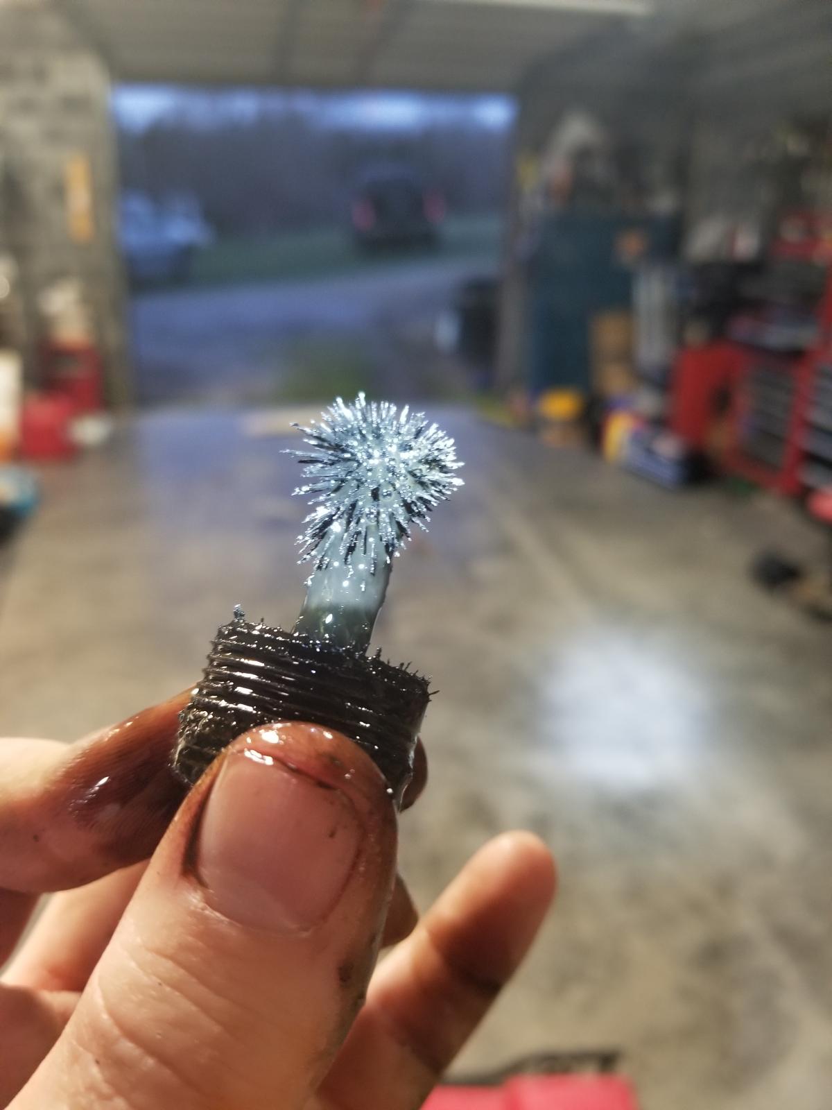 Image may have been reduced in size. Click image to view fullscreen.