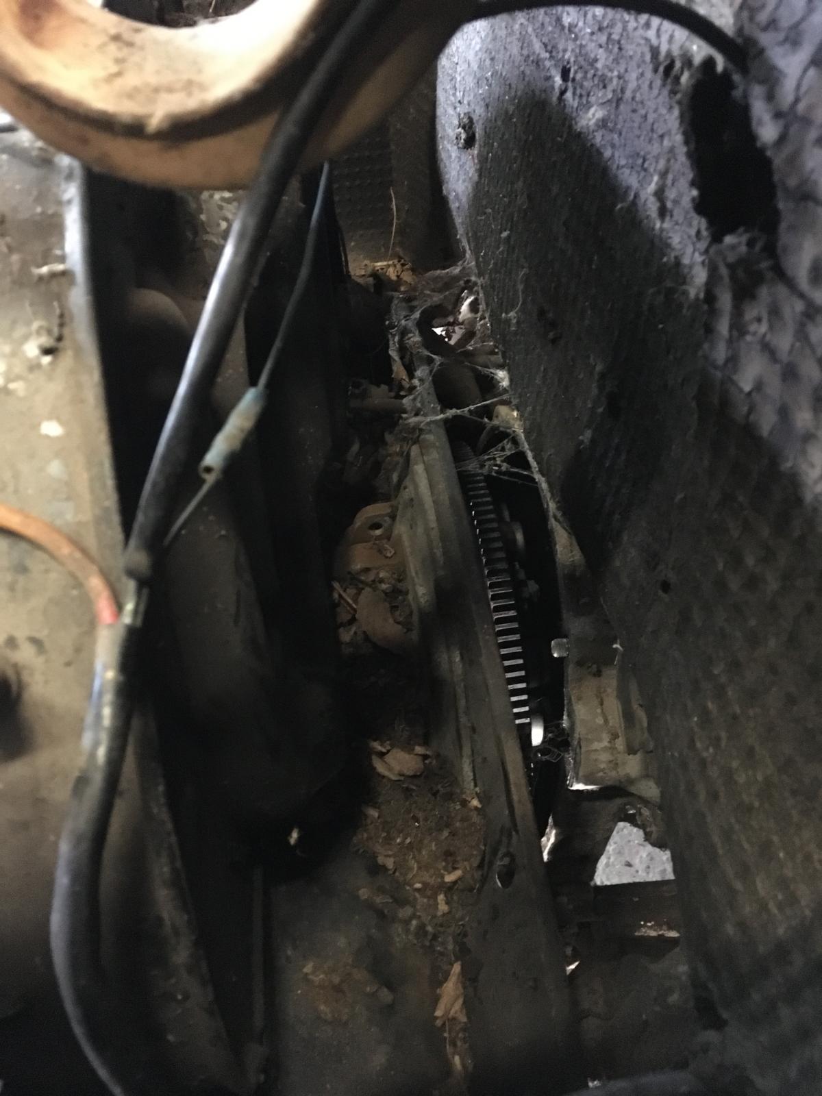 Image may have been reduced in size. Click image to view fullscreen.