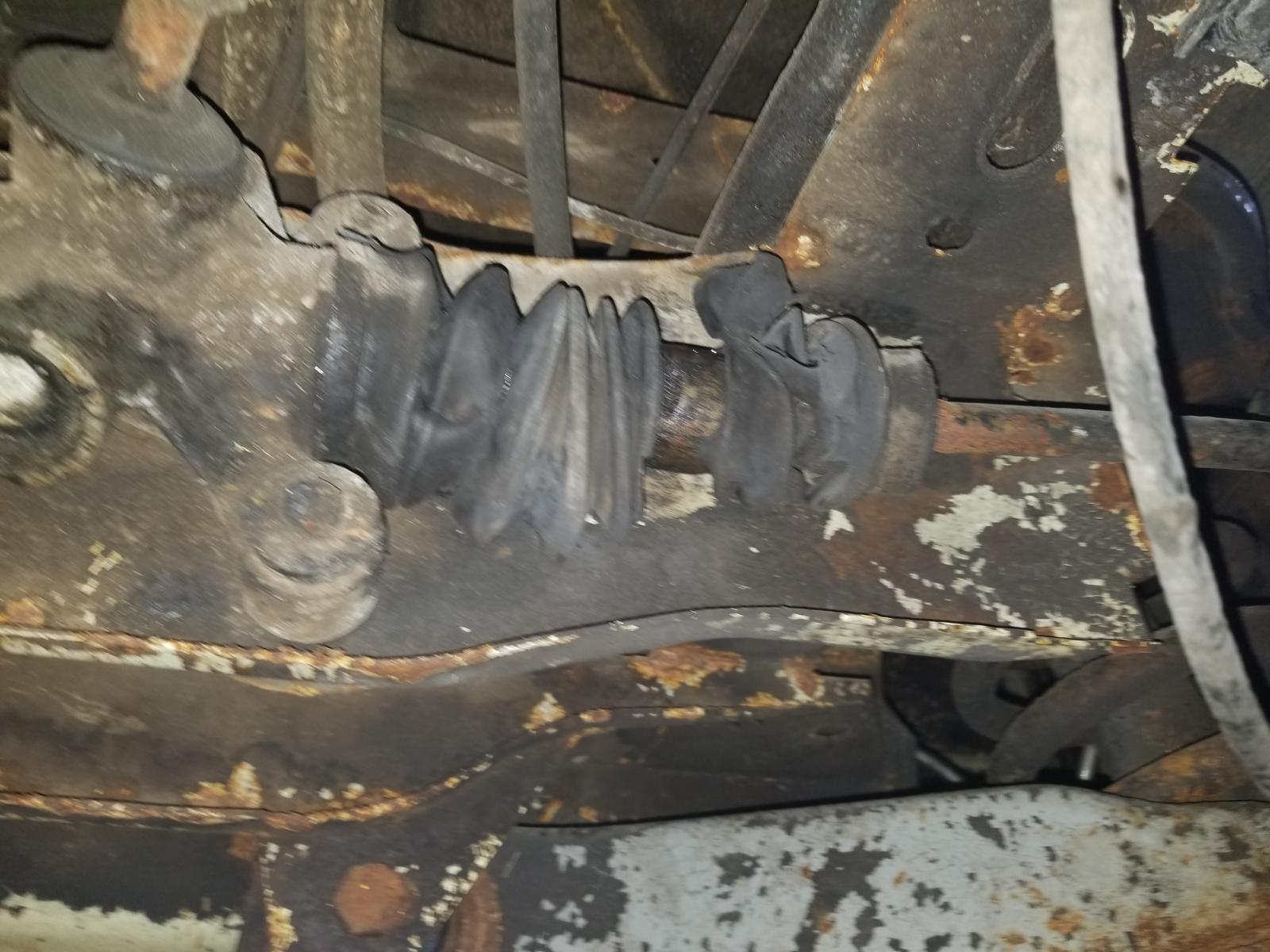 Image may have been reduced in size. Click image to view fullscreen.