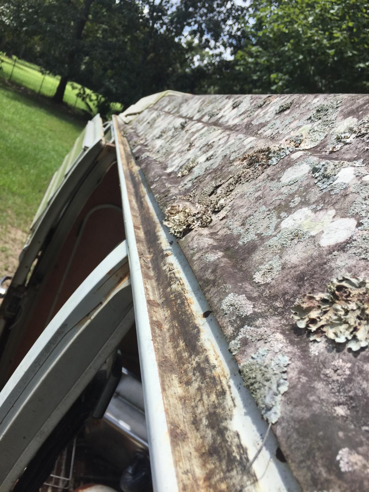 Image may have been reduced in size. Click image to view fullscreen.