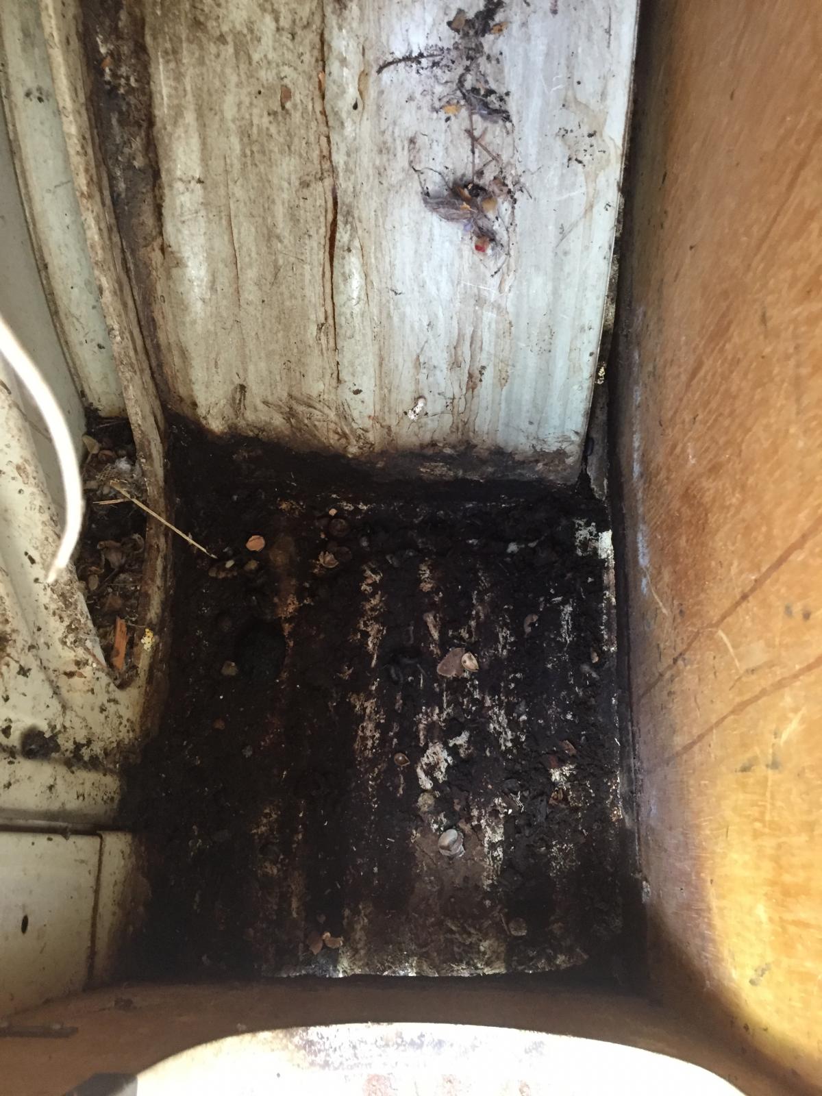 Image may have been reduced in size. Click image to view fullscreen.