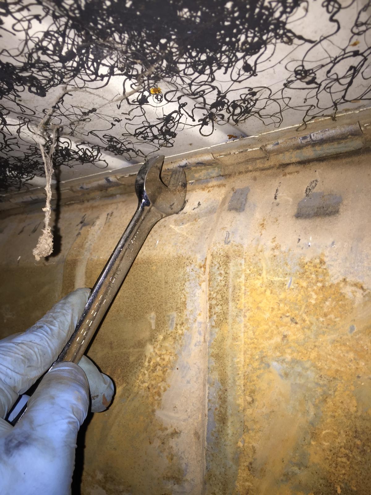 Image may have been reduced in size. Click image to view fullscreen.