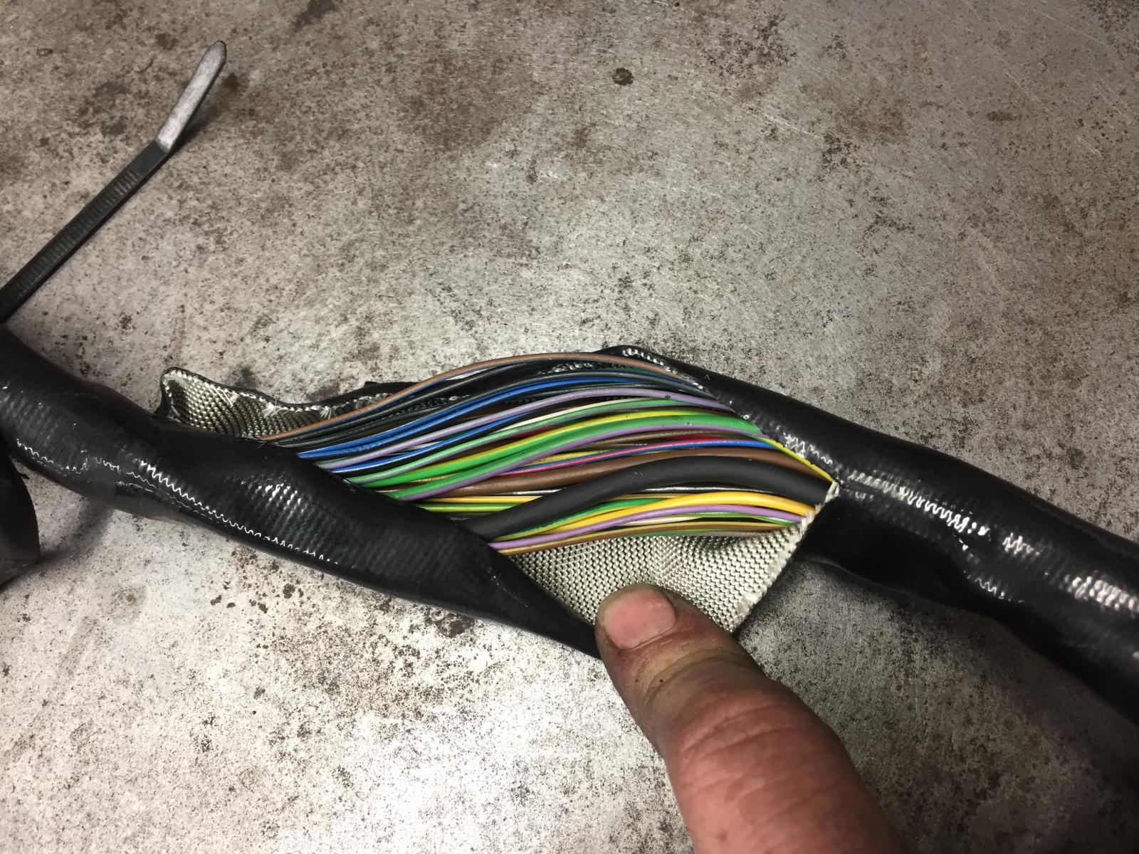 Image may have been reduced in size. Click image to view fullscreen.