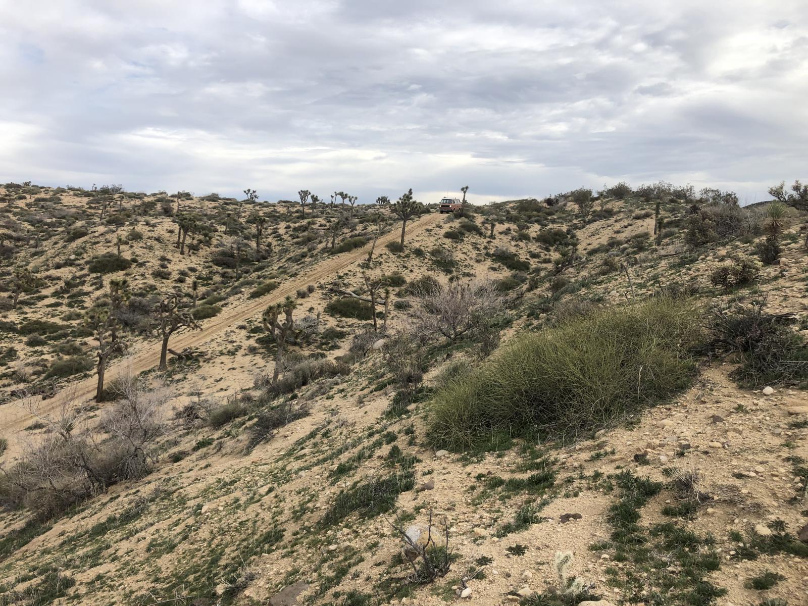 Image may have been reduced in size. Click image to view fullscreen.