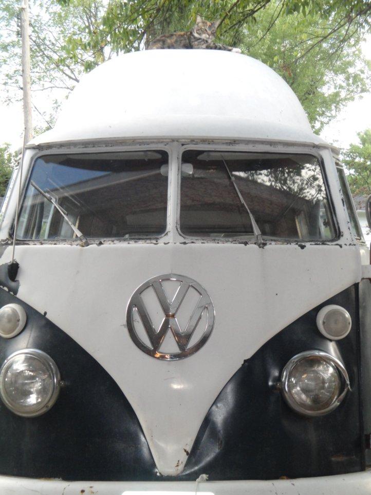 Image may have been reduced in size. Click image to view fullscreen.