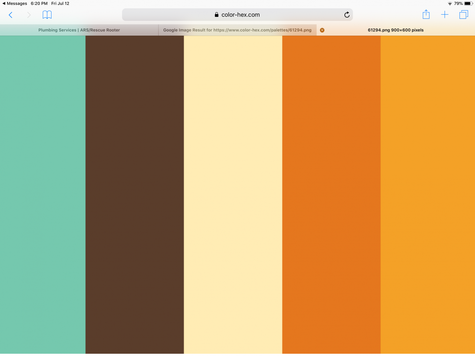 Image may have been reduced in size. Click image to view fullscreen.