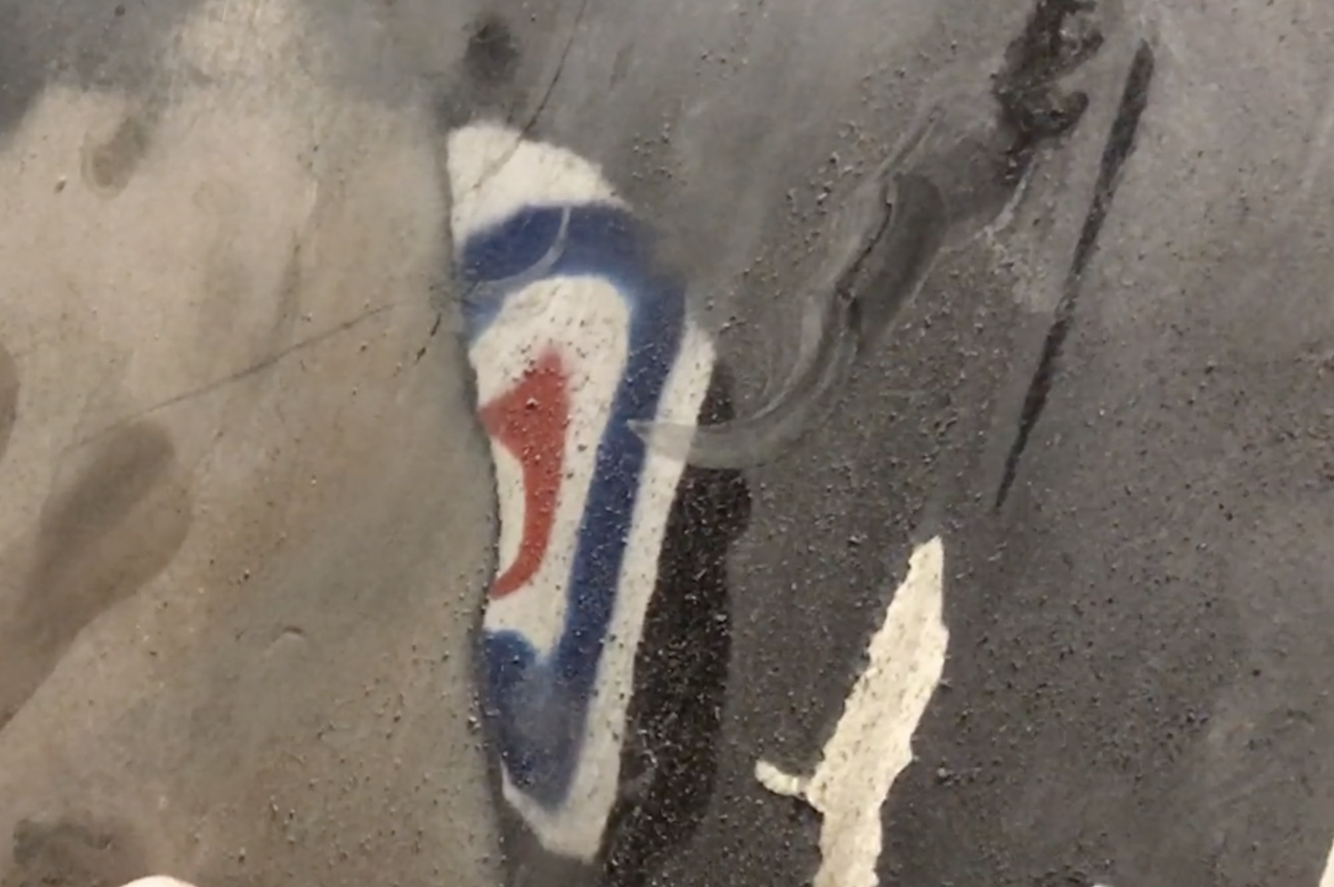 Image may have been reduced in size. Click image to view fullscreen.