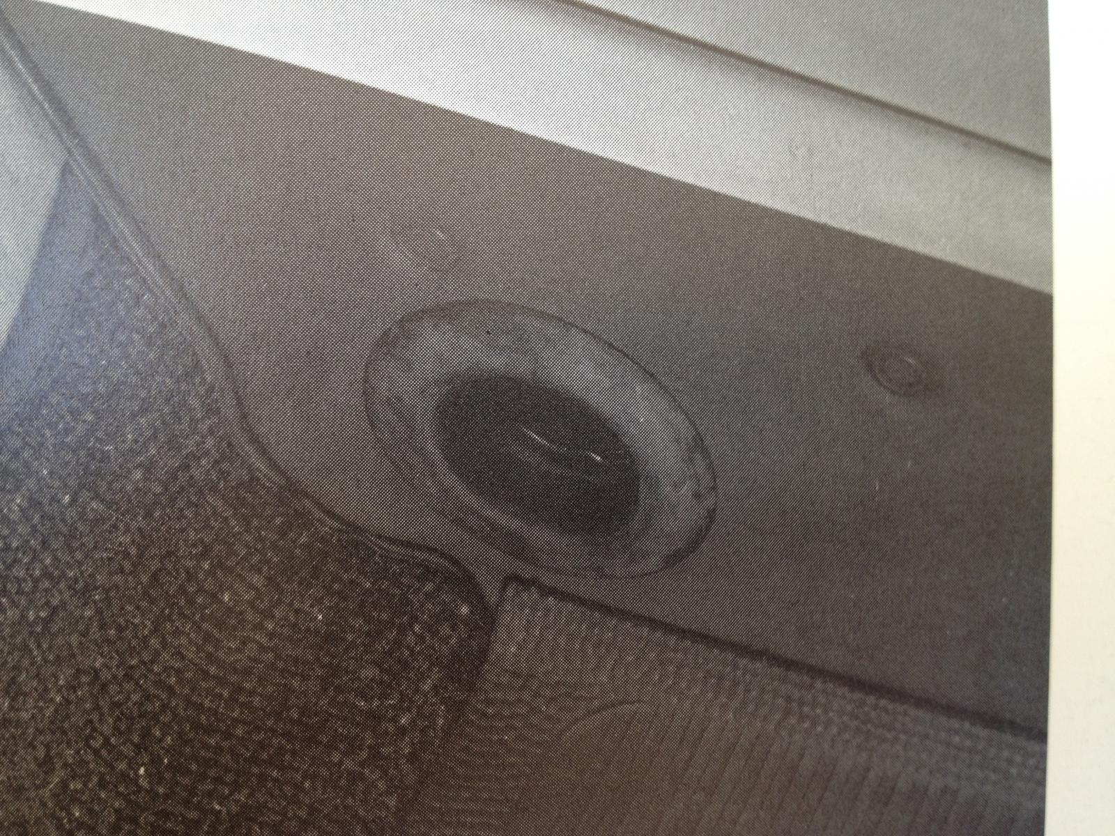 Image may have been reduced in size. Click image to view fullscreen.