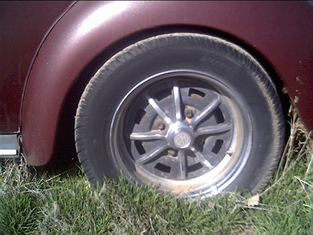 Image may have been reduced in size. Click image to view fullscreen.