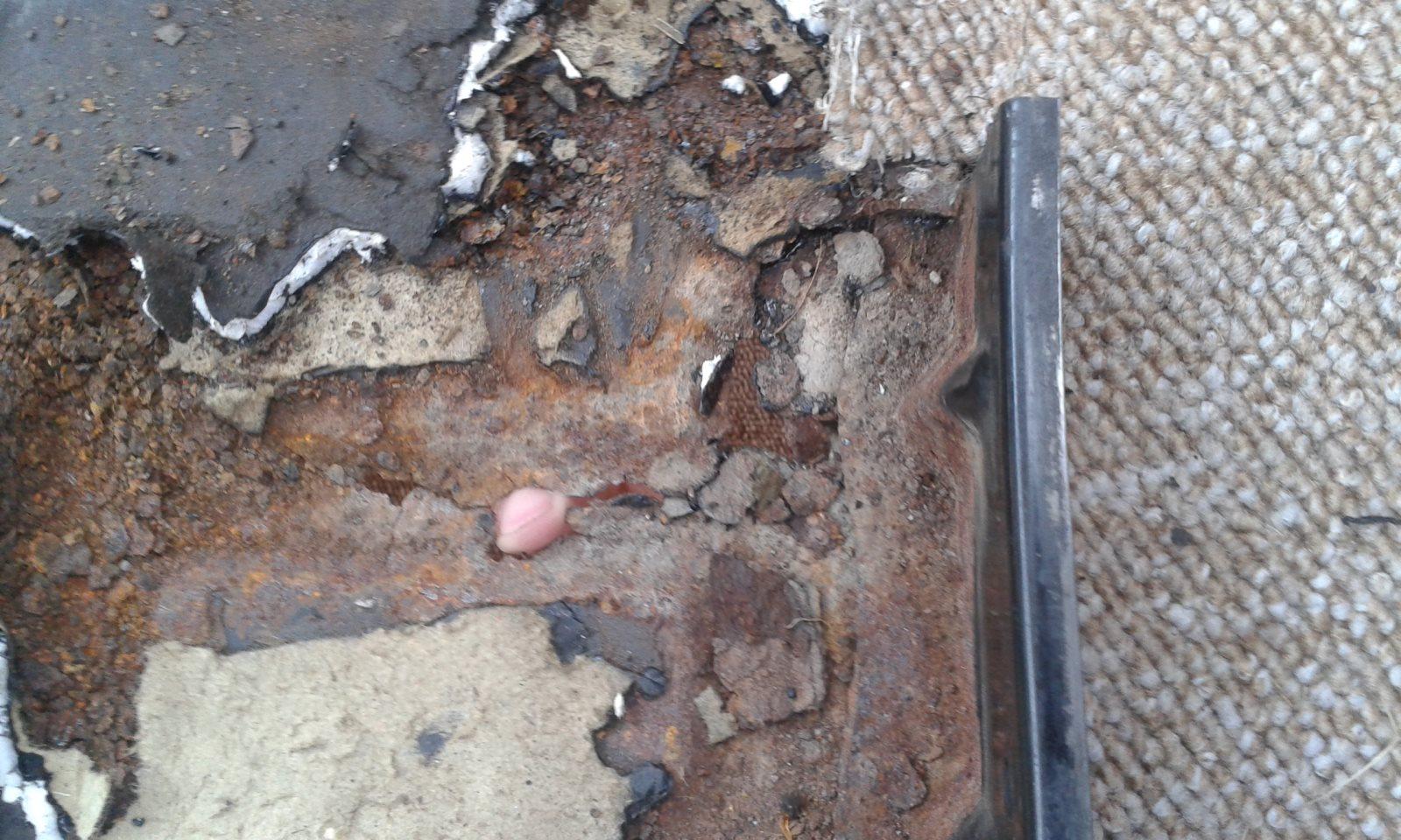 Image may have been reduced in size. Click image to view fullscreen.