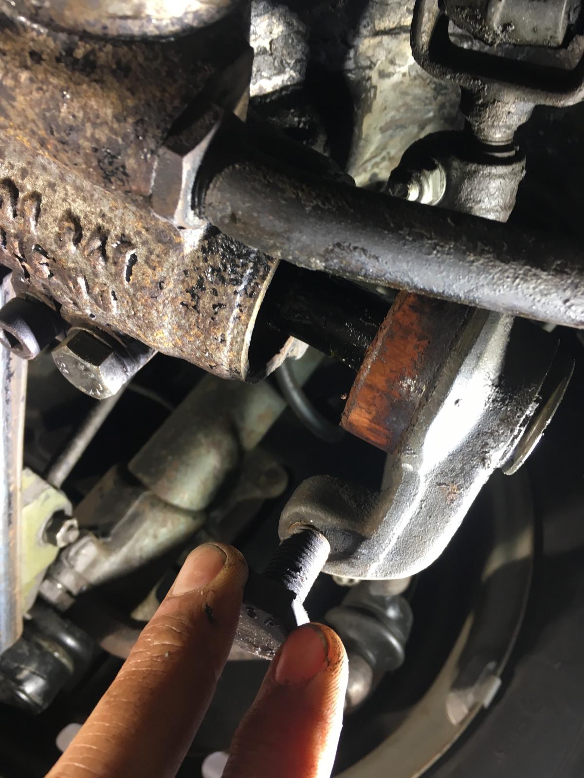 Image may have been reduced in size. Click image to view fullscreen.