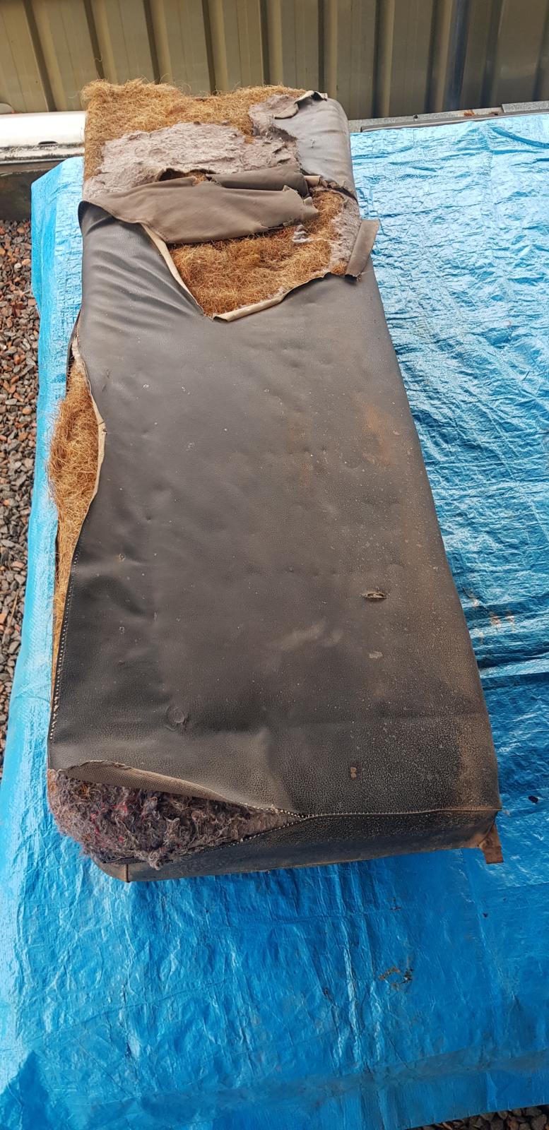 Image may have been reduced in size. Click image to view fullscreen.