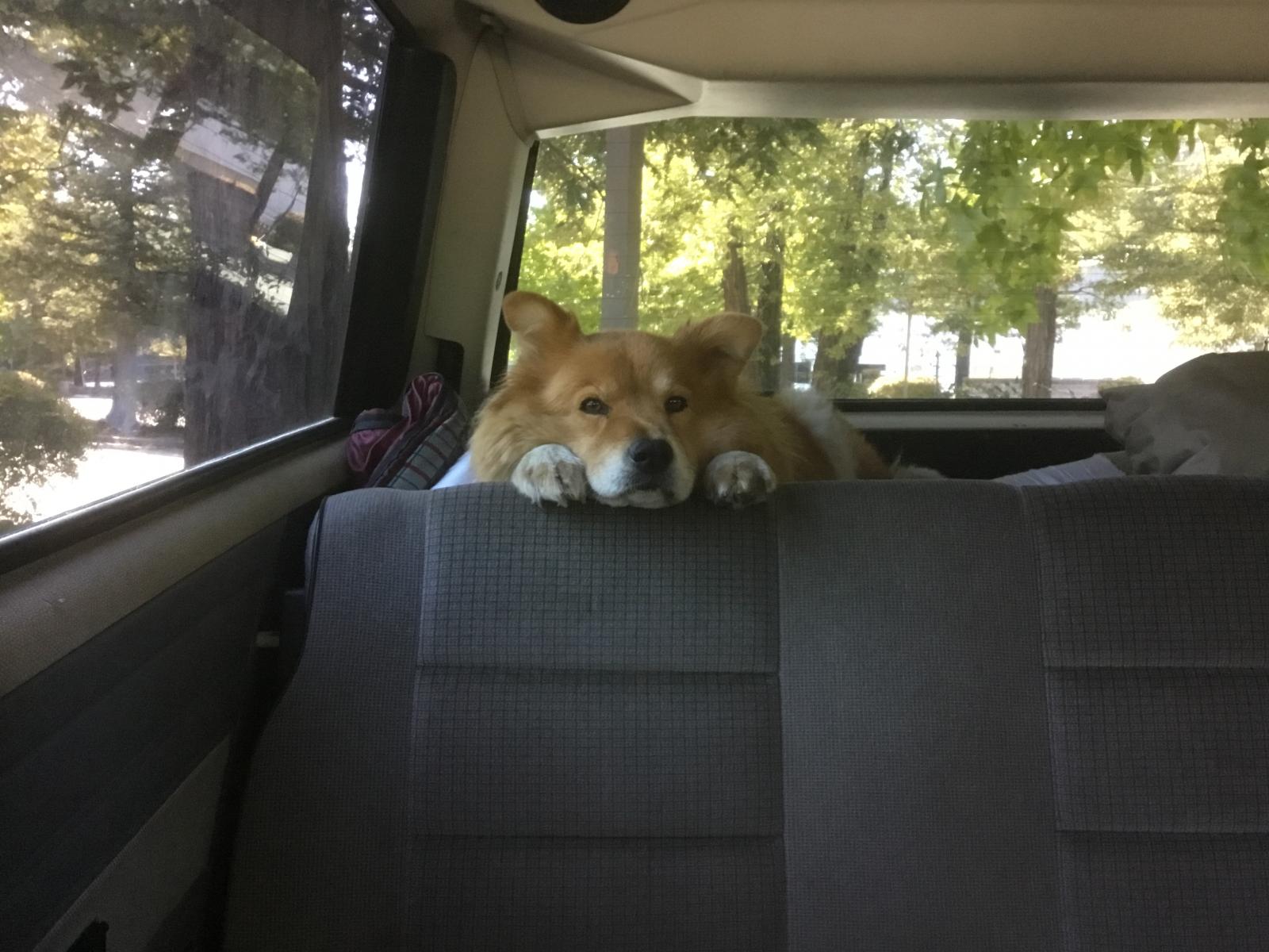 Image may have been reduced in size. Click image to view fullscreen.