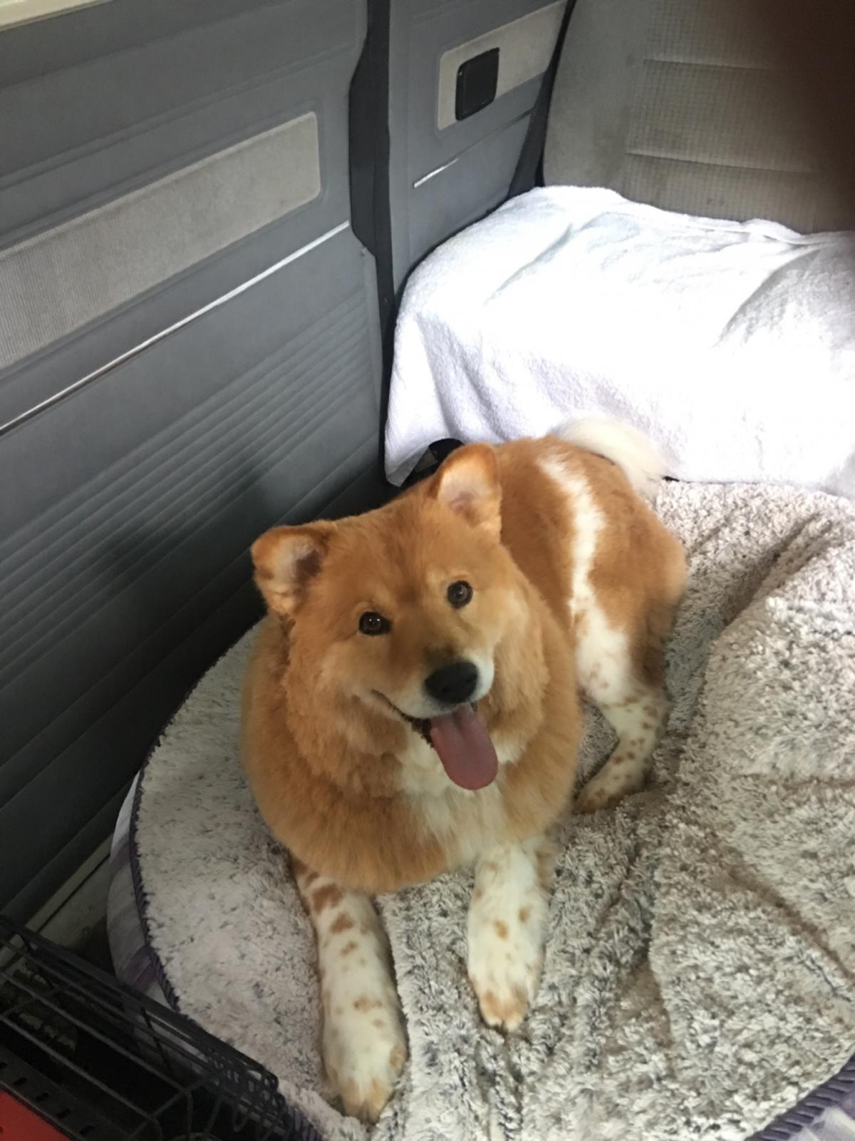 Image may have been reduced in size. Click image to view fullscreen.